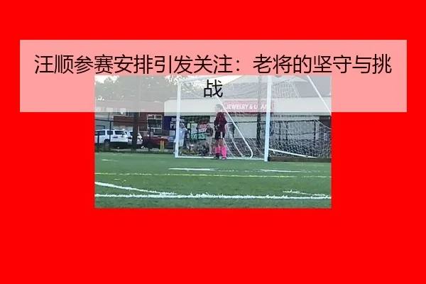汪顺参赛安排引发关注：老将的坚守与挑战